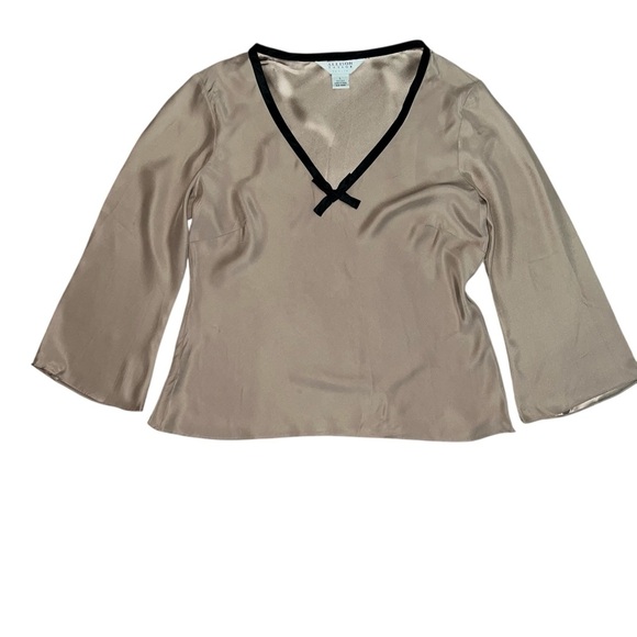 100% silk v neck top size Large P - Picture 1 of 4